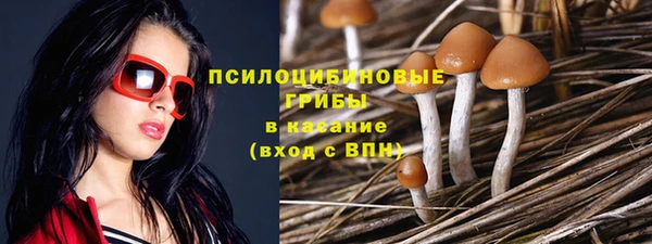 ECSTASY Магадан