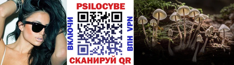 Купить  Среднеколымск  Галлюциногенные грибы Psilocybine cubensis 